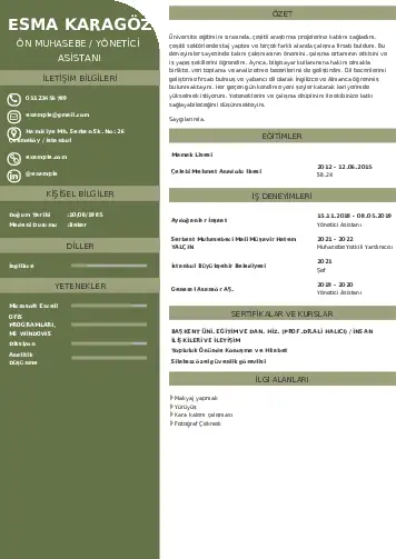 Yönetici Asistanı Cv Örnekleri cv indir